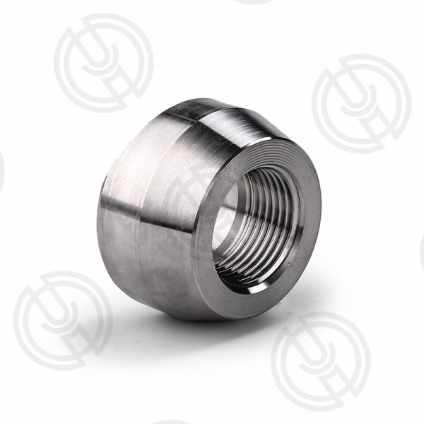 Forged Screwed-Threaded Branch Outlet (3)