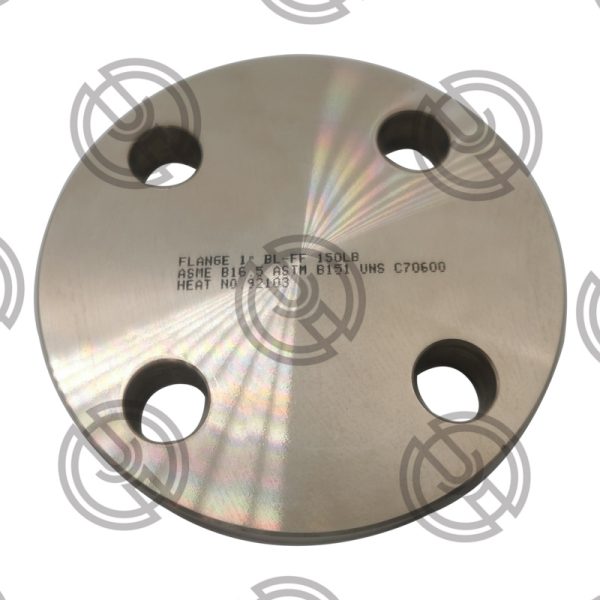 Copper Nickel Flanges | C70600 Flanges | C71500 Flanges Manufacturer
