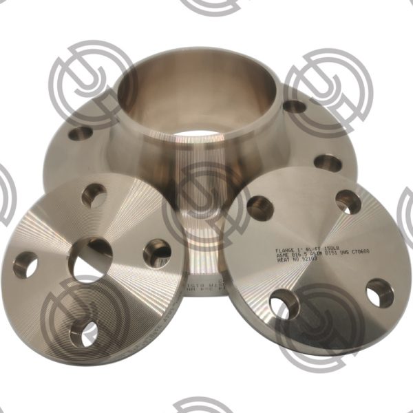 Copper Nickel Flanges | C70600 Flanges | C71500 Flanges Manufacturer - Image 4