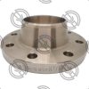Copper Nickel Flanges | C70600 Flanges | C71500 Flanges Manufacturer - Image 3
